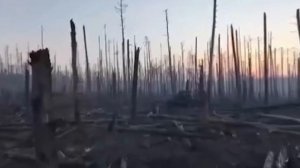 Фронтовая сводка 1 сентября 2025