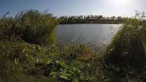 рыбалка на пруду