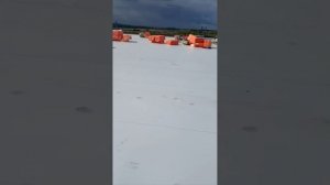 Шушары Витебский пр-кт