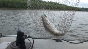 С трудом ушли от ноля...