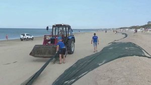 На пляжах Анапы заканчивают уборку сетей на защитном валу