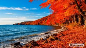 Звуки прибоя: как пейзаж и шум моря вдохновляют и исцеляют душу