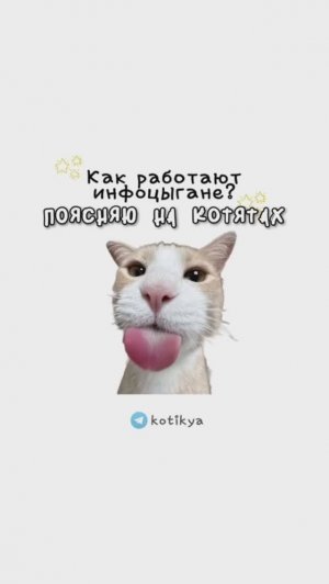КОТЯТА ПОЯСНЯЮТ / Как работает Скам? / Как работает Инфоцигане? / Как работает тестостерон?