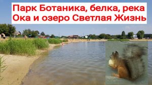 250831 Белка орех Дорога на озеро парк Ботаника о Светлая Жизнь г Орёл город песчаный пляж карьер пе