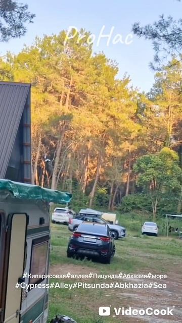 #Кипарисовая#аллея#Пицунда#Абхазия#море#Cypress#Alley#Pitsunda#Abkhazia#Sea