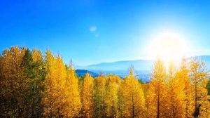 Осенний день - музыка для релакса и вдохновения