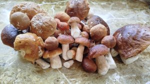 Время собирать грибы. Грибная пора.