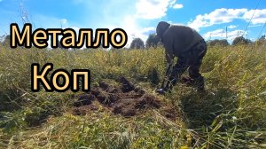 НЕОЖИДАННАЯ НАХОДКА. В ГЛУХОМАНЬ ЗА МЕТАЛЛОМ. ИСЧЕЗНУВШАЯ ДЕРЕВНЯ.
