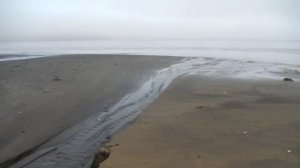 Шикотан, туманное утро2