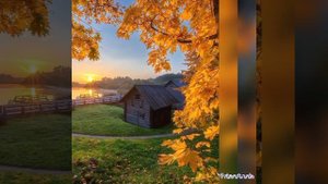 любовь красавица