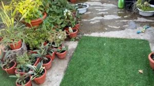 Все полили, главные  помощники всегда рядом.