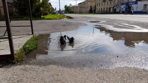 День, улица, недалеко аптека.....mp4