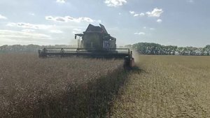 Рапсовые столы LUPUS на комбайнах RSM