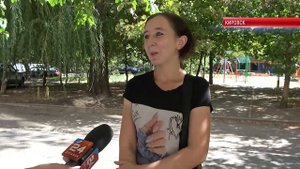 ТК "Родной". Сенатор РФ от ЛНР Дарья Лантратова посетила семьи без вести пропавших участников СВО