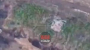 Летучий отряд «Немца» выкуривает ВСУ из муравейников Запорожья