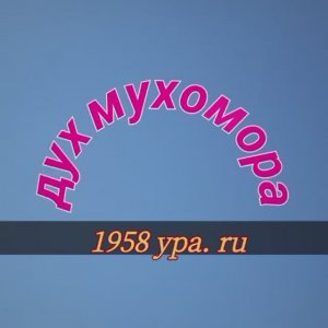 Дух мухомора