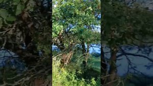 рыбалка 🎣 с супругой