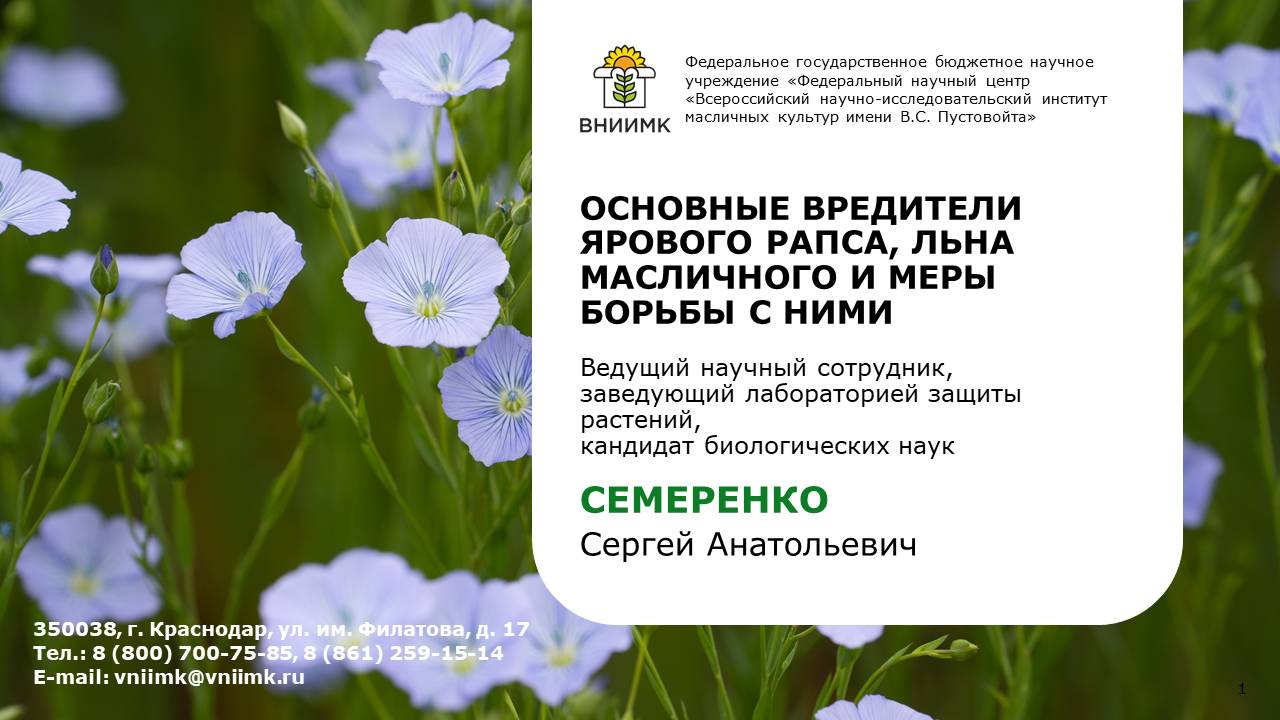 Основные вредители ярового рапса, льна масличного и меры борьбы с ними