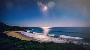 Песнь леса. Музыка для души