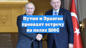 Путин и Эрдоган проводят встречу на полях ШОС