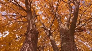 3 сентября  - Важно замечать эти знаки.