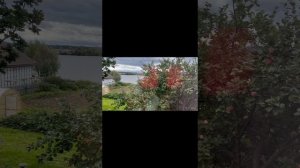 copy_F9670263-4B71-4CFC-9751-ECDF9C0623C4