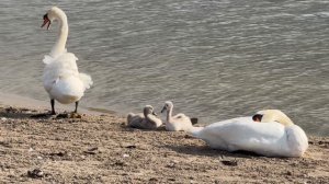 14127711_3840_2160_30fps