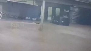 Видео от Аварийка LIVE | ДТП и ЧП России