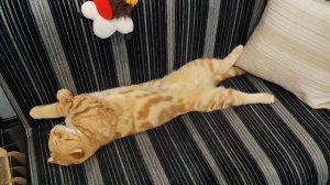 С первым Днём осени и Днём знаний!