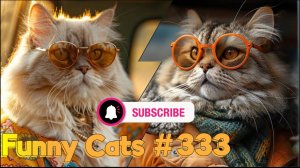 Смешные коты #333