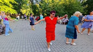 30.08.25г... "Роза Белая"...