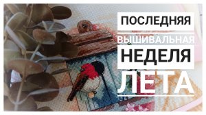Продвижения за последнюю неделю ЛЕТА | Вышивка крестом