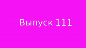 Выпуск 111. Ответственность