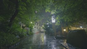Полуночная прогулка под дождем в Токио
