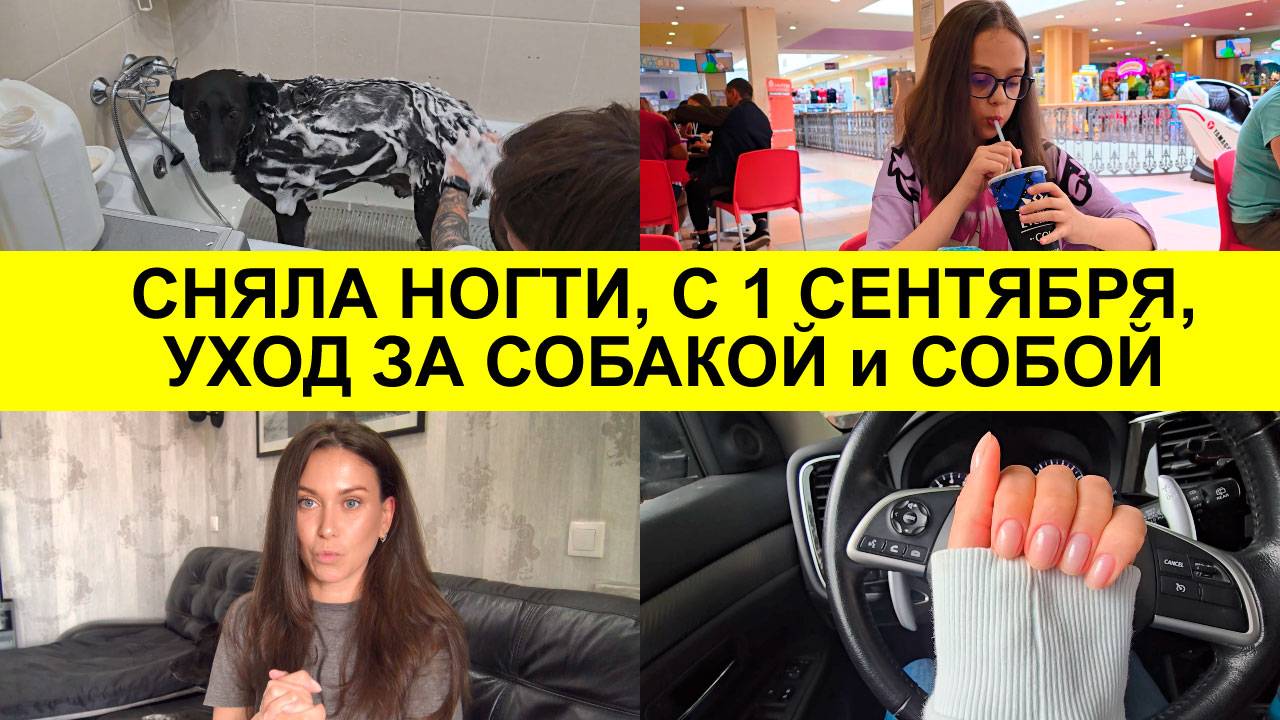 Снова в школу. Покупки. Подстриглась, сняла маникюр. Уход за собакой, уход за собой. смотреть онлайн