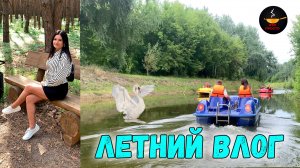 ЛЕТНИЙ ВЛОГ ☀️ Пикник, говорящий ворон + покупки для кухни | Это просто