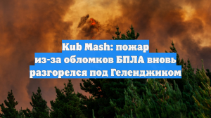 Kub Mash: пожар из-за обломков БПЛА вновь разгорелся под Геленджиком