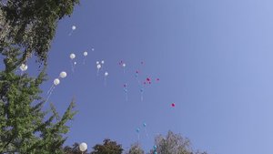 В Лицее № 11 имени В.В. Рассохина з в этом году 3 первых класса