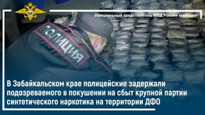 В Забайкальском крае полицейские задержали подозреваемого в покушении на сбыт наркотиков
