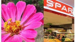 SPAR в Калининграде на Аксакова. 1 сентября, 2025.🌸