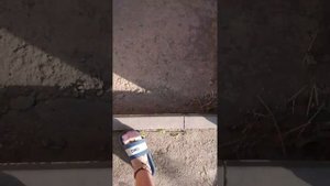 Природа в Краснодаре.