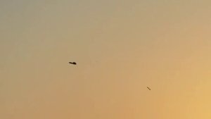 Украинские источники показали залп трех Фламинго.