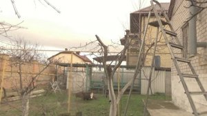 Один день из жизни ч.2