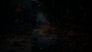 Госпожа Осень