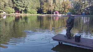 Вываживание карпа маховой удочкой. Клёвое место, Лосиный остров, верхний водоём.