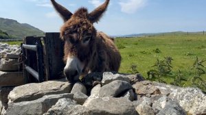 13986084_3840_2160_24fps