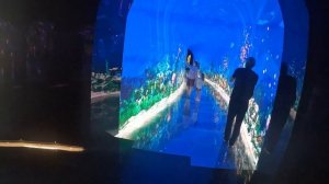 Кроличья нора в Парке Краснодар