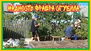 24/8 25 ВОЮЮ В ПОМИДОРАХ. ПОХВАСТАТЬ НЕЧЕМ. КРОШИТ, КАК НА САЛАТ.  ПОРА ЗАПУСКАТЬ.