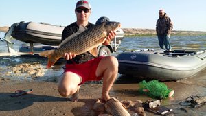 он клюнул рыбалка на крупного сазана ночью сидел в засаде всю ночь он взялся #сазан #рыбалка #дон