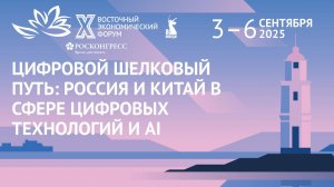 Цифровой шелковый путь: Россия и Китай в сфере цифровых технологий и AI